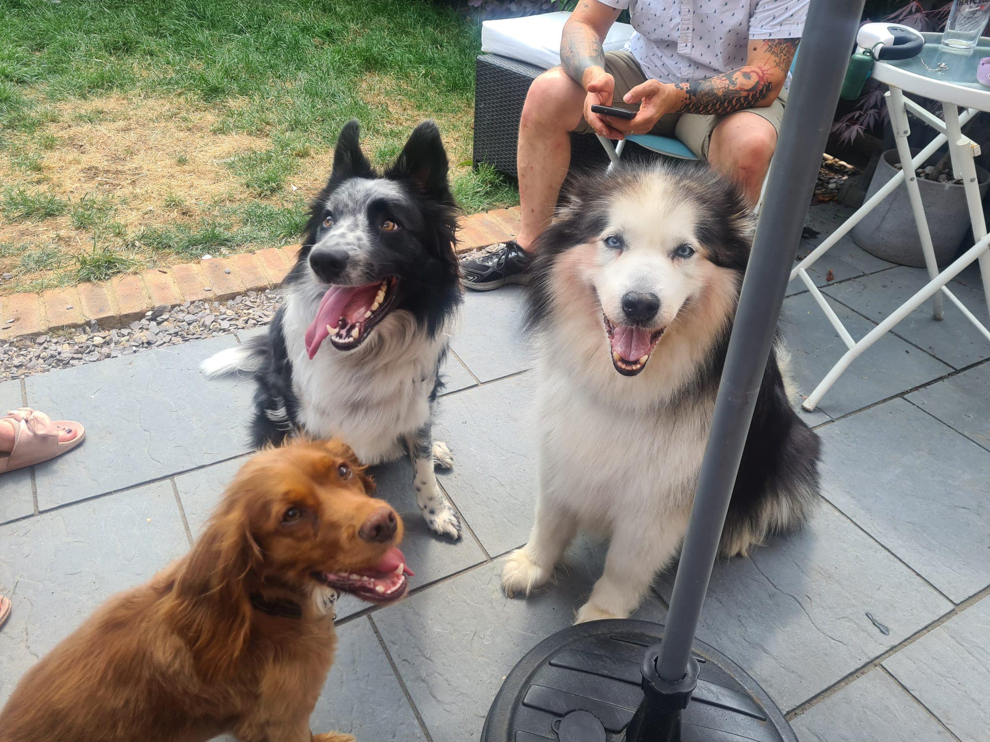 Keira and friends